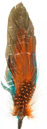 Hat Feathers