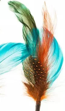 Hat Feathers