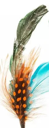 Hat Feathers