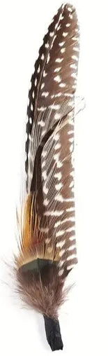 Hat Feathers