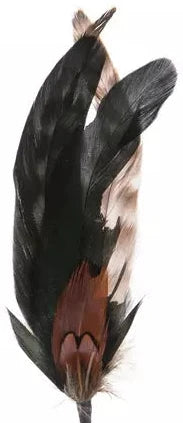 Hat Feathers