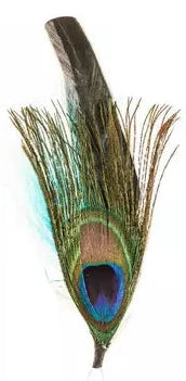 Hat Feathers