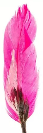 Hat Feathers
